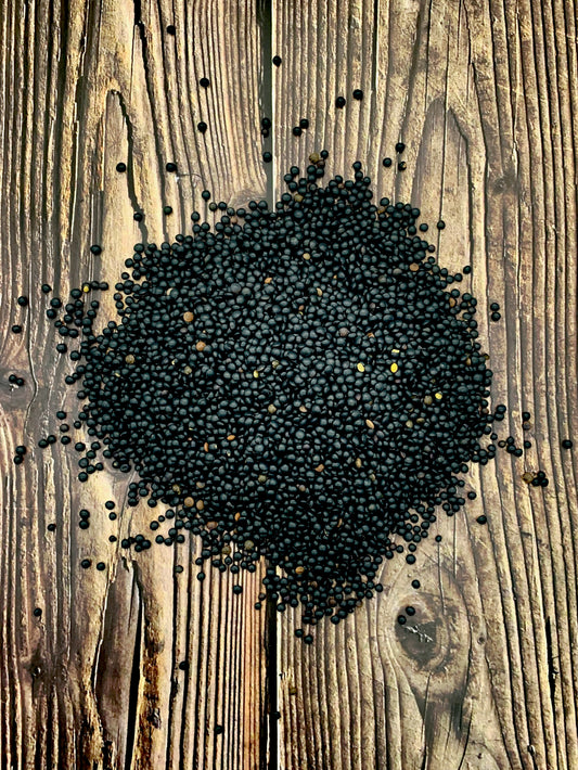 Beluga Lentils 100g