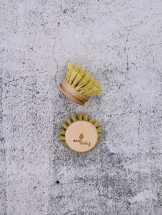 Dish Brush - Replaceable Head