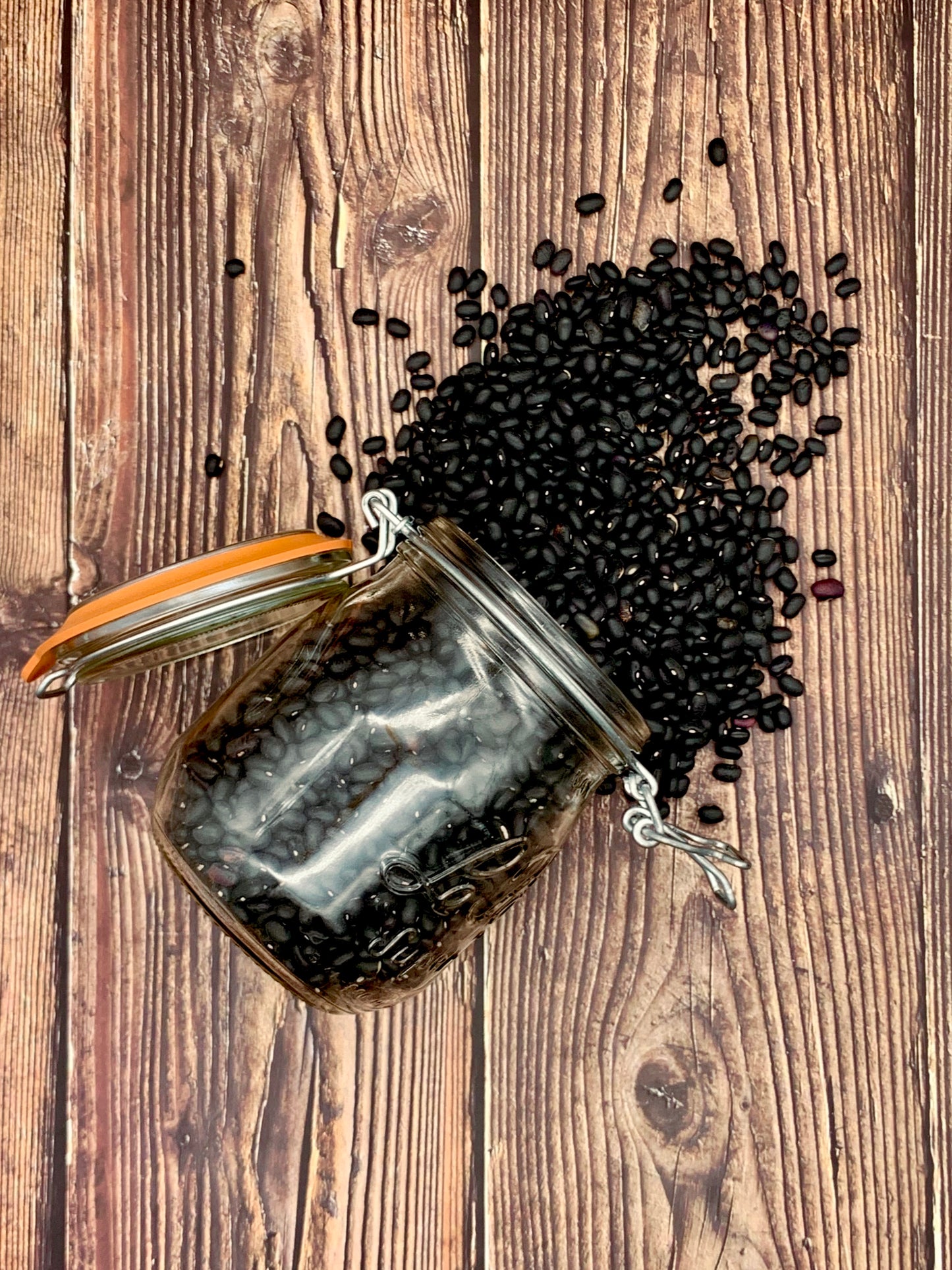 Black Turtle Beans 100g
