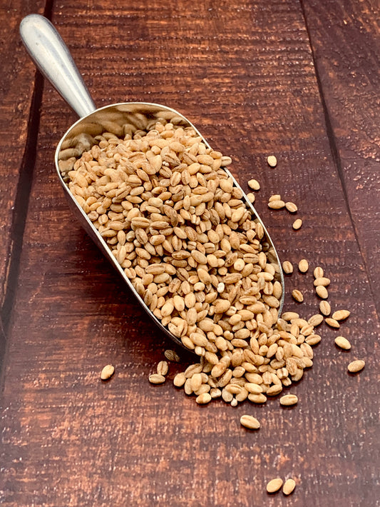 Pearl Barley 100g