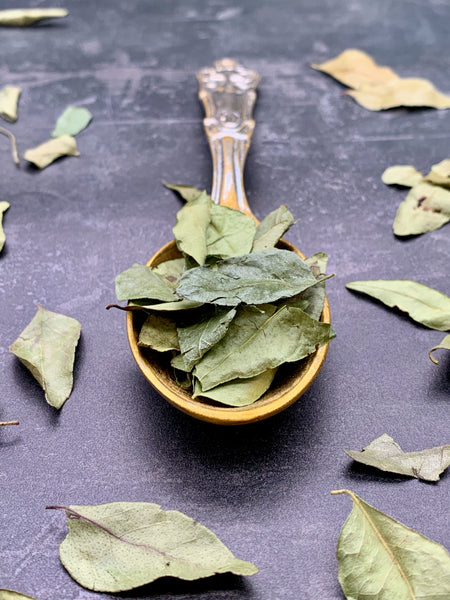 Curry Leaves 20g